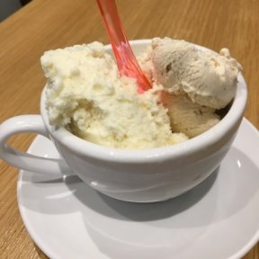 Gluten-free gelato from SugarCube Dessert & Coffee Bar